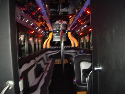 Mini-Bus - Limo / Party Style 