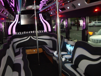 Mini-Bus - Limo / Party Style 