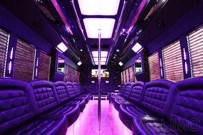 Mini-Bus - Limo / Party Style 