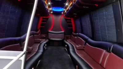 Mini-Bus - Limo / Party Style 