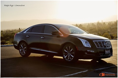 Sedan - Cadillac XTS