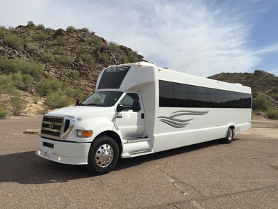 Mini-Bus - Limo / Party Style 