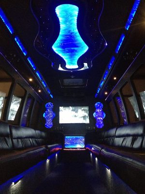 Mini-Bus - Limo / Party Style 