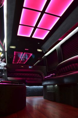 Mini-Bus - Limo / Party Style 