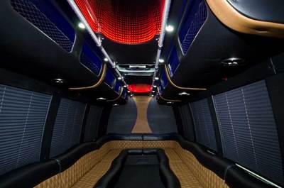 Mini-Bus - Limo / Party Style 