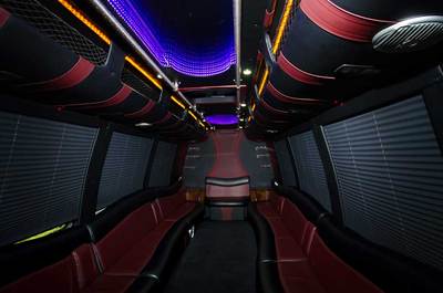 Mini-Bus - Limo / Party Style 
