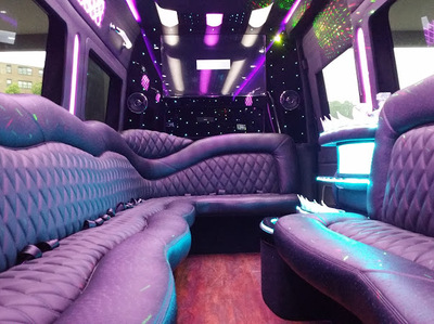 Mini-Bus - Limo / Party Style 