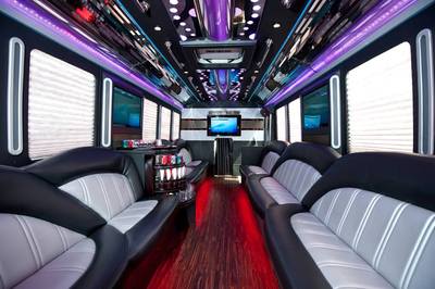 Mini-Bus - Limo / Party Style 