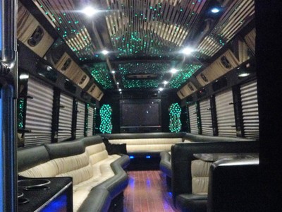 Mini-Bus - Limo / Party Style 