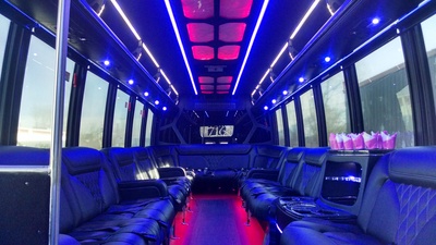 Mini-Bus - Limo / Party Style 