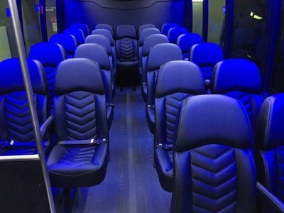 Mini-Bus - Limo / Party Style 