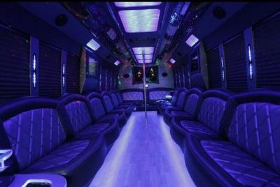 Mini-Bus - Limo / Party Style 