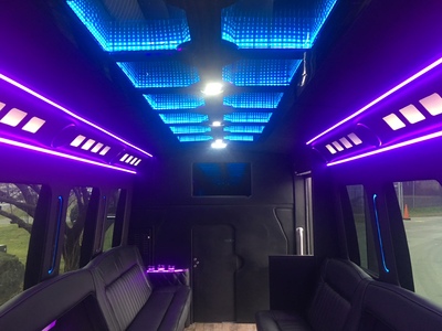 Mini-Bus - Limo / Party Style 