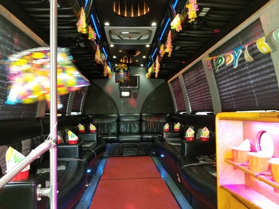 Mini-Bus - Limo / Party Style 