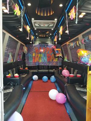 Mini-Bus - Limo / Party Style 