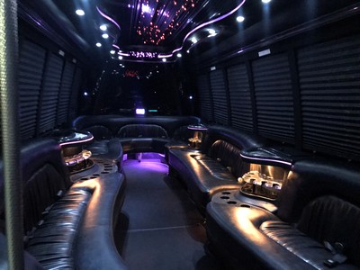 Mini-Bus - Limo / Party Style 