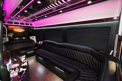Mini-Bus - Limo / Party Style 