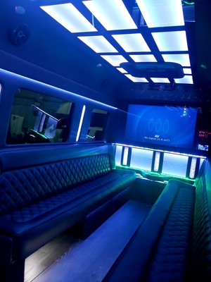 Mini-Bus - Limo / Party Style 