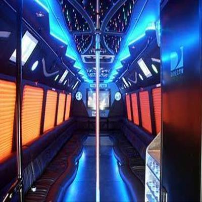 Mini-Bus - Limo / Party Style 