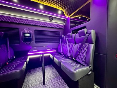 Mini-Bus - Limo / Party Style 