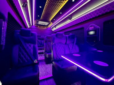 Mini-Bus - Limo / Party Style 