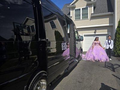 Executive Van - Mercedes Benz Sprinter