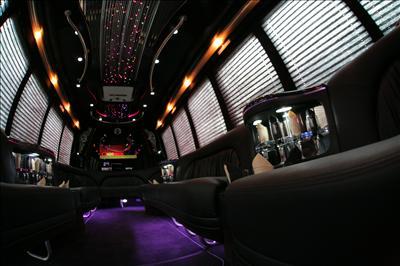 Mini-Bus - Limo / Party Style 