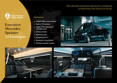 Executive Van - Mercedes Benz Sprinter