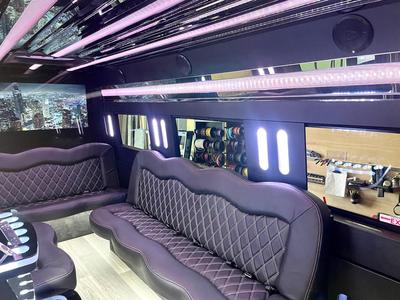 Executive Van - Mercedes Benz Sprinter