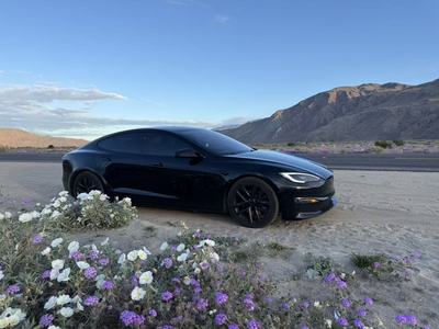 Luxury Sedan - Tesla Model S
