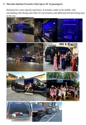 Executive Van - Mercedes Benz Sprinter
