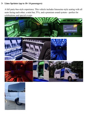 Executive Van - Mercedes Benz Sprinter