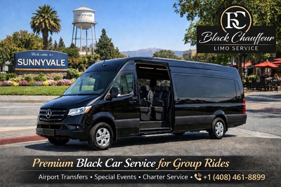Executive Van - Mercedes Benz Sprinter