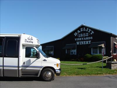 Mini-Bus - Limo / Party Style 