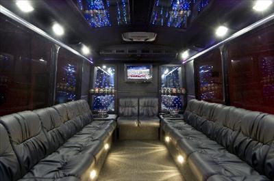 Mini-Bus - Limo / Party Style 