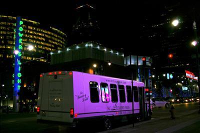 Mini-Bus - Limo / Party Style 