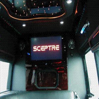 Mini-Bus - Limo / Party Style 