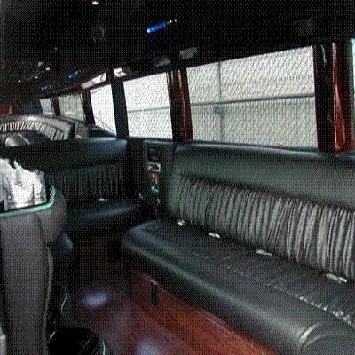 Mini-Bus - Limo / Party Style 