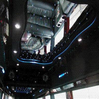 Mini-Bus - Limo / Party Style 