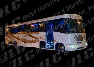 Mini-Bus - Limo / Party Style 