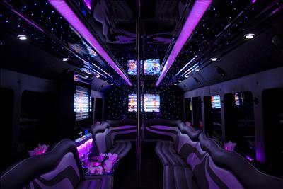 Mini-Bus - Limo / Party Style 
