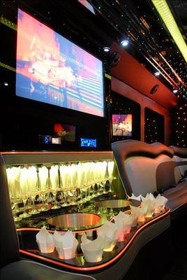 Mini-Bus - Limo / Party Style 