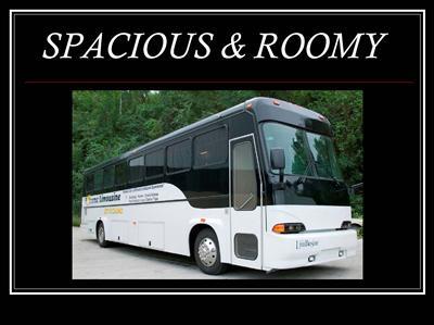 Mini-Bus - Limo / Party Style 