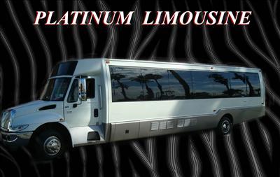 Mini-Bus - Limo / Party Style 