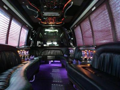 Mini-Bus - Limo / Party Style 