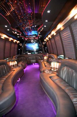 Mini-Bus - Limo / Party Style 