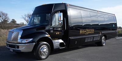Mini-Bus - Limo / Party Style 