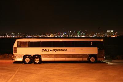 Mini-Bus - Limo / Party Style 