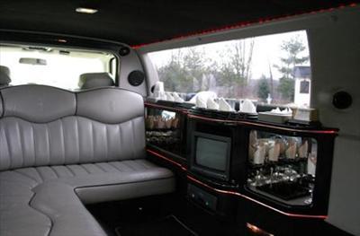 Mini-Bus - Limo / Party Style 