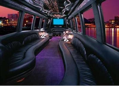 Mini-Bus - Limo / Party Style 